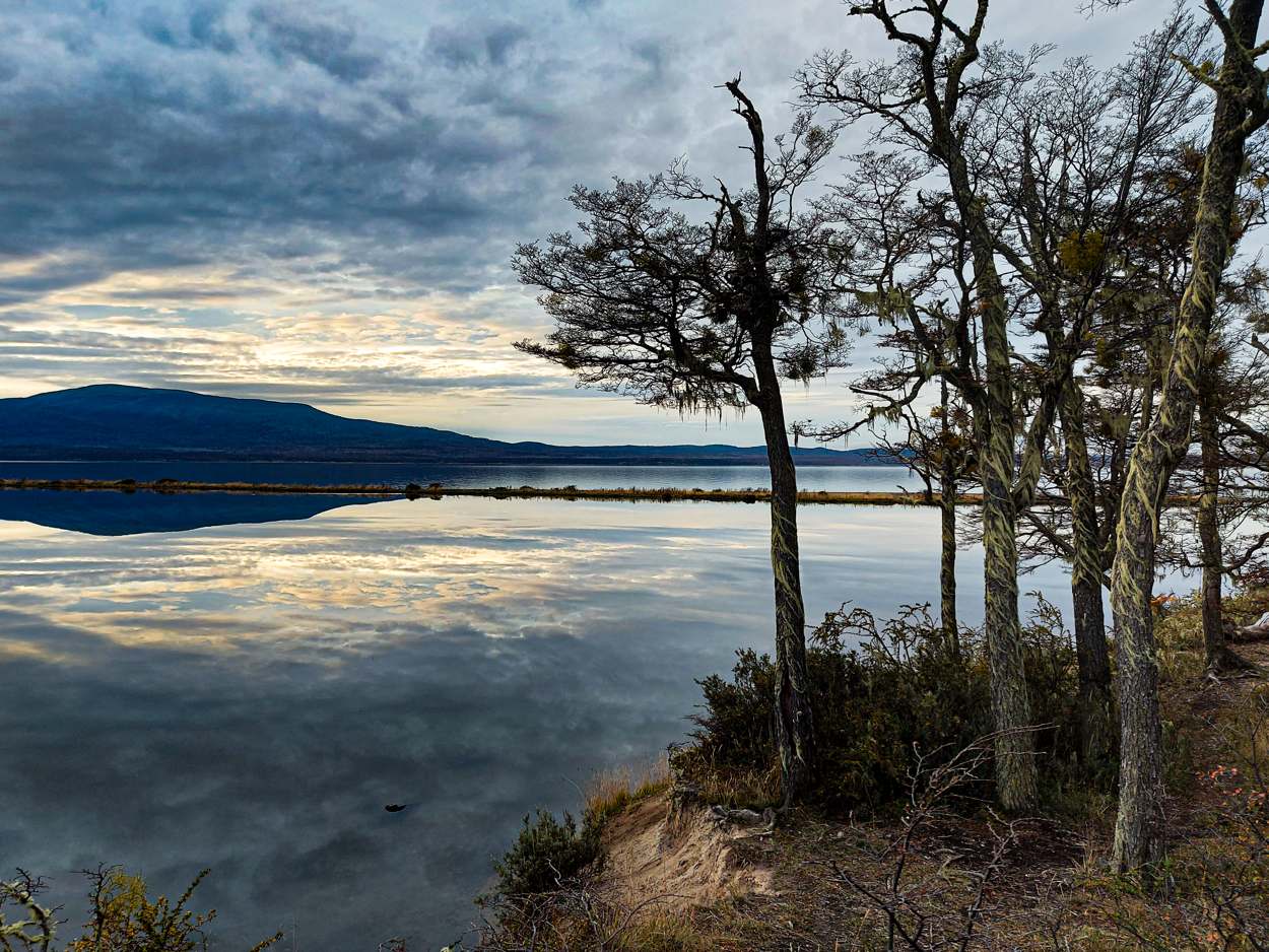 Un lago en calma reflejando el cielo, con árboles cubiertos de barba de viejo en la orilla